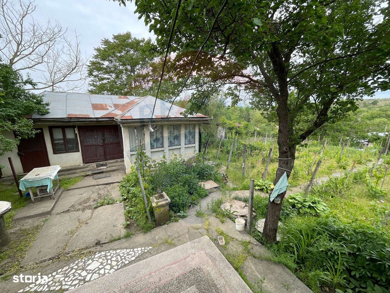 Casă și Teren Generos la Granița cu Republica Moldova! - Imagine principală: 4/20