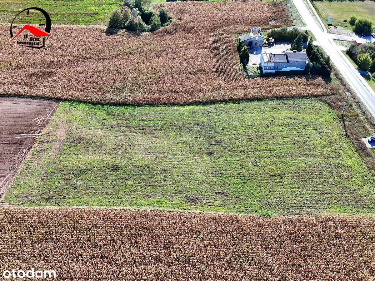 Działki na wzgórzu. Wz z 2025. Przy asfalcie.-5