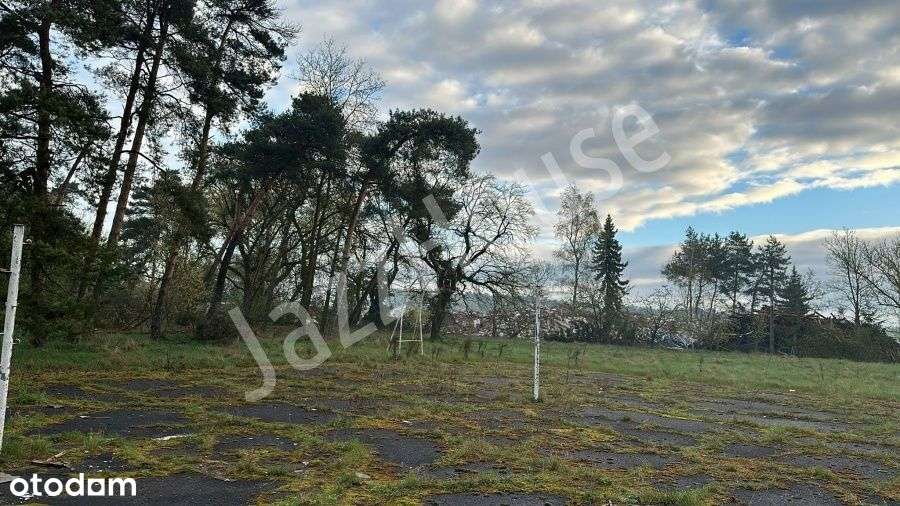 Działka Inwestycyjna Trasa S5 Poznań - Kościan - Pełny obrazek: 5/9