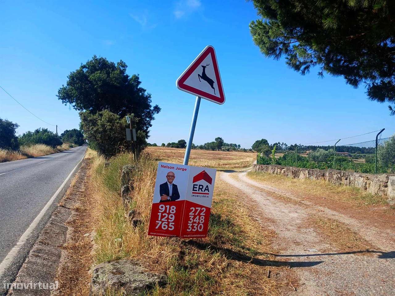 Terreno-5