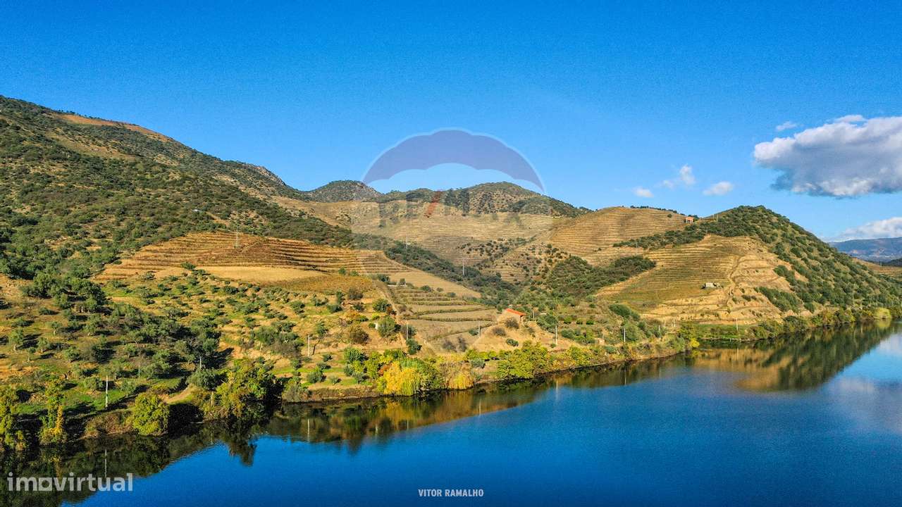 Quinta T5 para venda - Grande imagem: 3/31