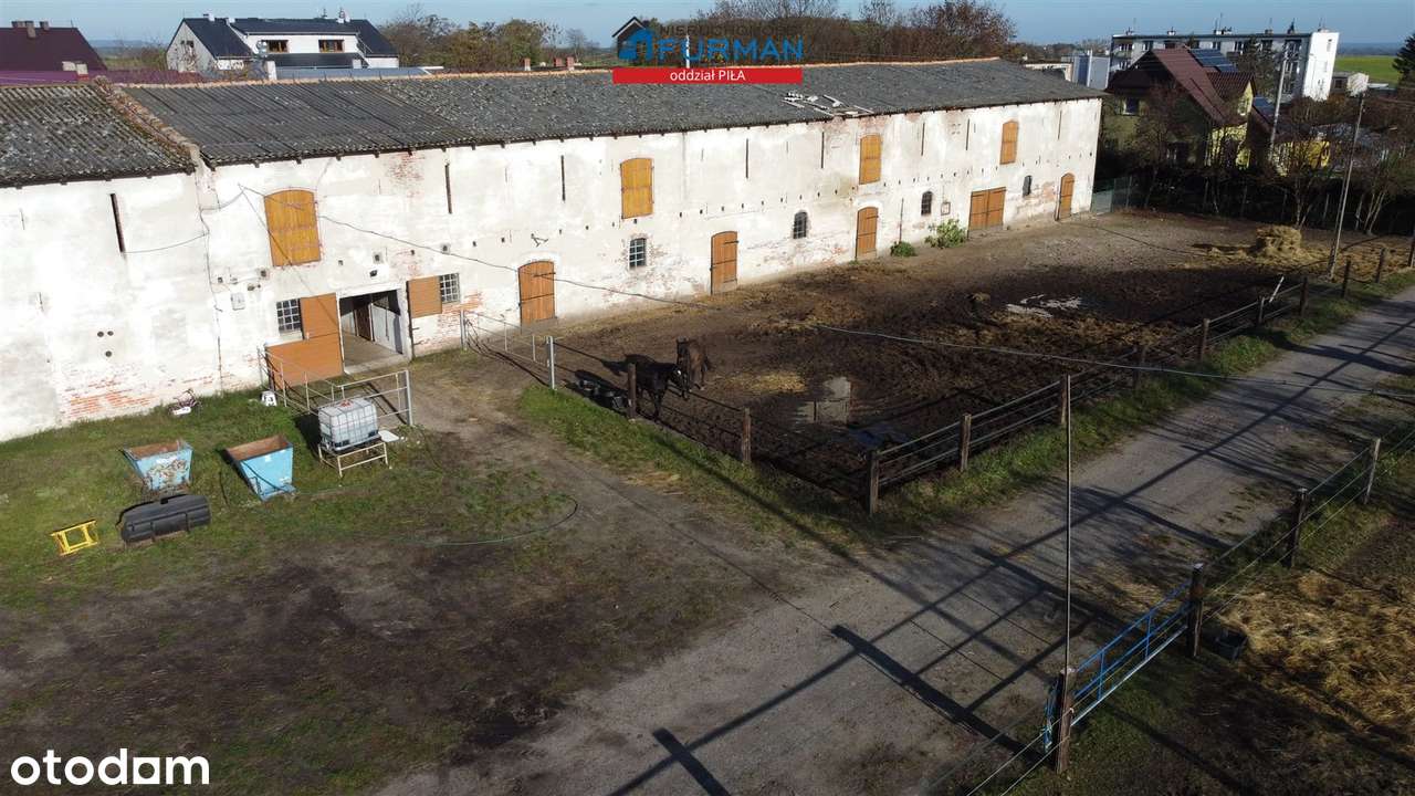 Hala na sprzedaż, Trzcianka (gw) - Pełny obrazek: 5/13