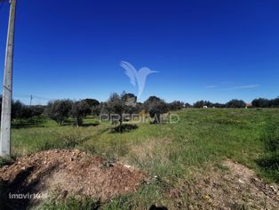 Lote de Moradia - Grande imagem: 5/8