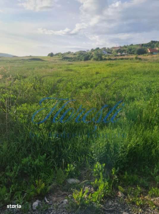 Teren intavilan 600mp - Popesti, Cluj! - Imagine principală: 3/3