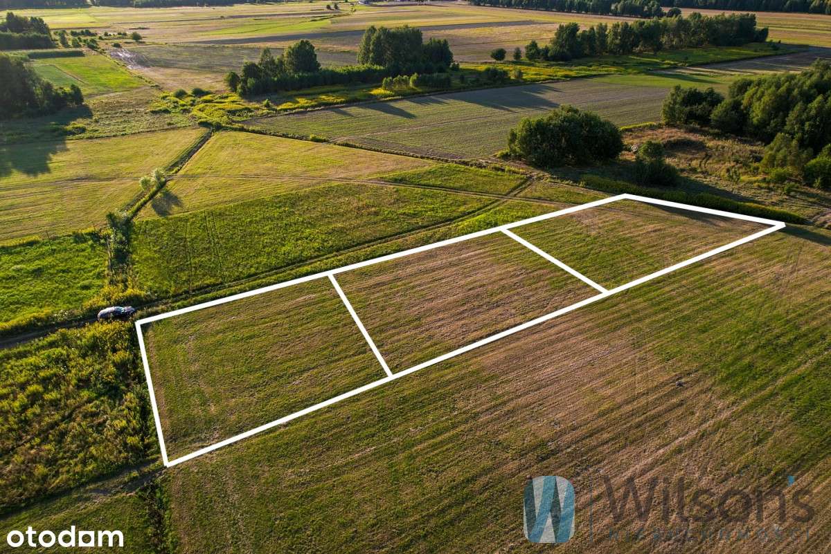Działka Budowlana z Warunkami Zabudowy - Pilawa - Pełny obrazek: 4/9