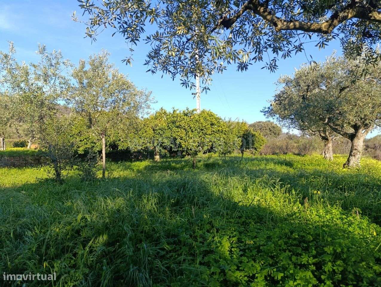 Terreno / Fundão, Vale de Prazeres e Mata da Rainha - Grande imagem: 2/11