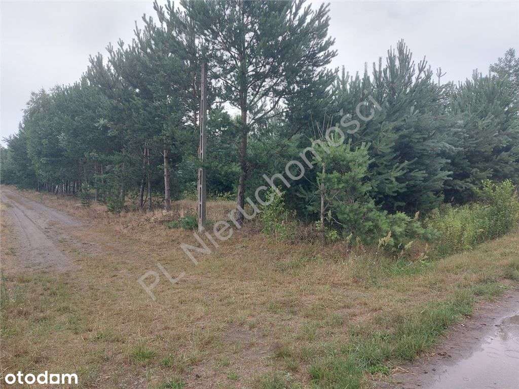 Działka Budowlana W Głuszy Rezerwatu-6