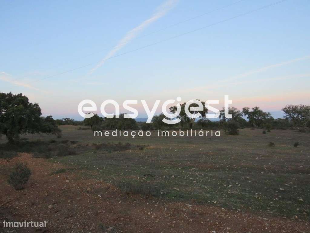 Terreno zona de Serpa com 9,5 hectares - Grande imagem: 4/14