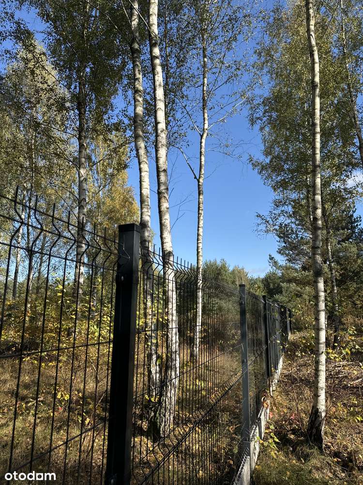 Do Parku Chojnowskiego 400 m, blisko do pociągu-17