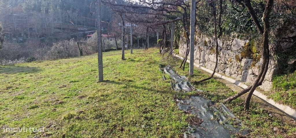 Terreno rústico - Mosteiro - Grande imagem: 4/15