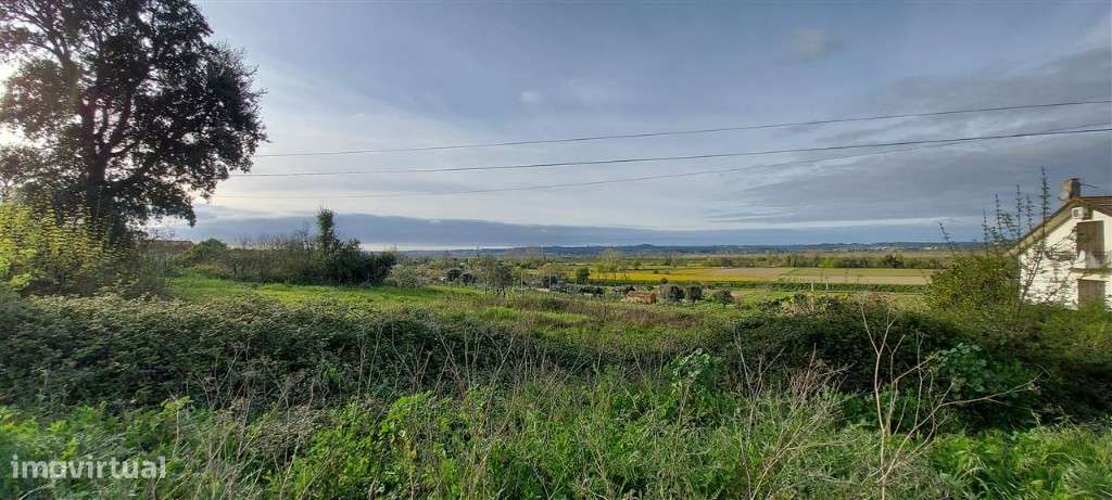 Tereno para Construção em Pereira, Coimbra - Grande imagem: 4/13