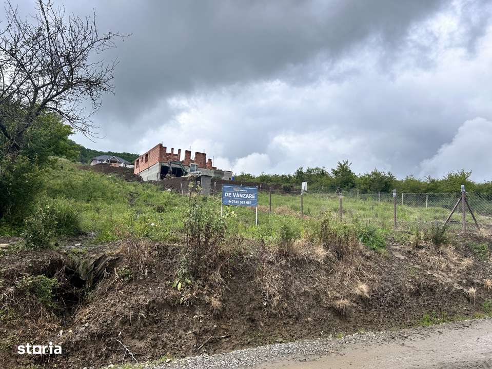 TEREN INTRAVILAN DE VANZARE  LA IESIREA DIN VIISOARA 2000 MP - Imagine principală: 2/3