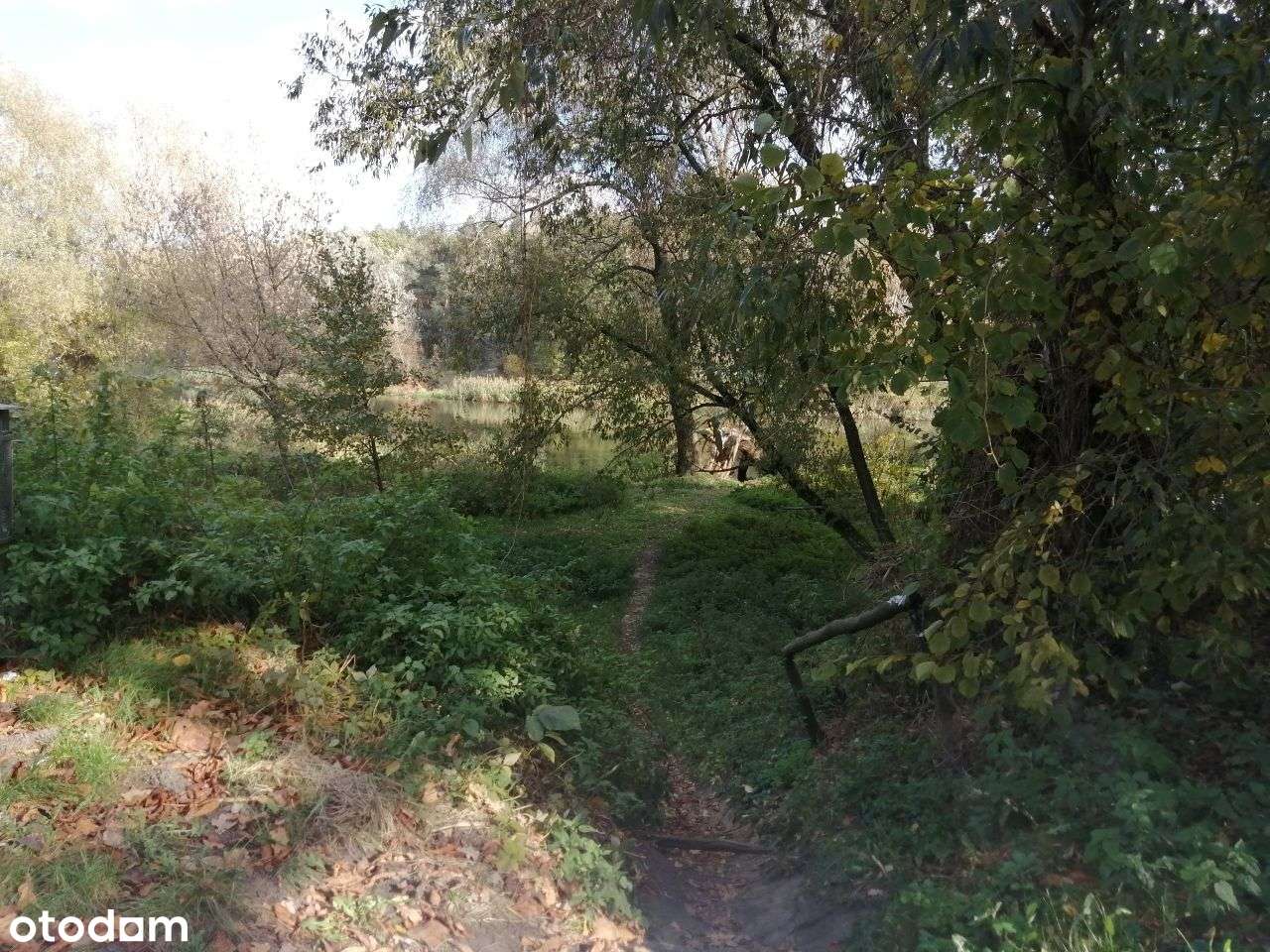 Puszczykowo, przy Warcie-5