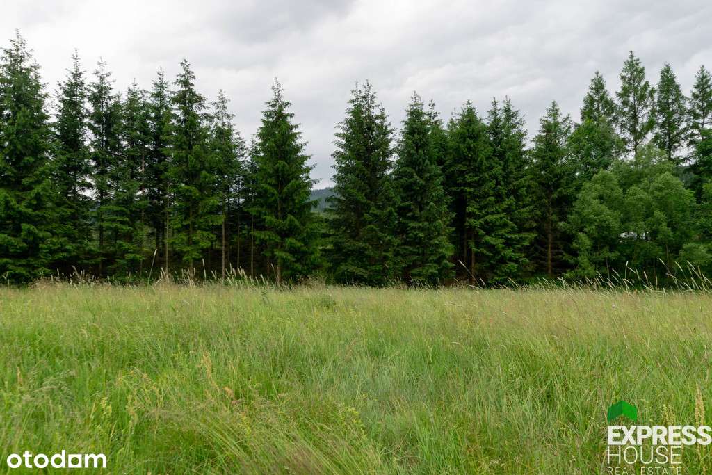 Działka budow. u podnóża gór Złotych i Bialskich - Pełny obrazek: 5/15