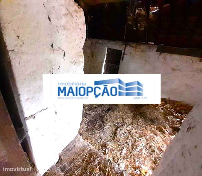 Moradia Isolada T2 - Grande imagem: 5/8