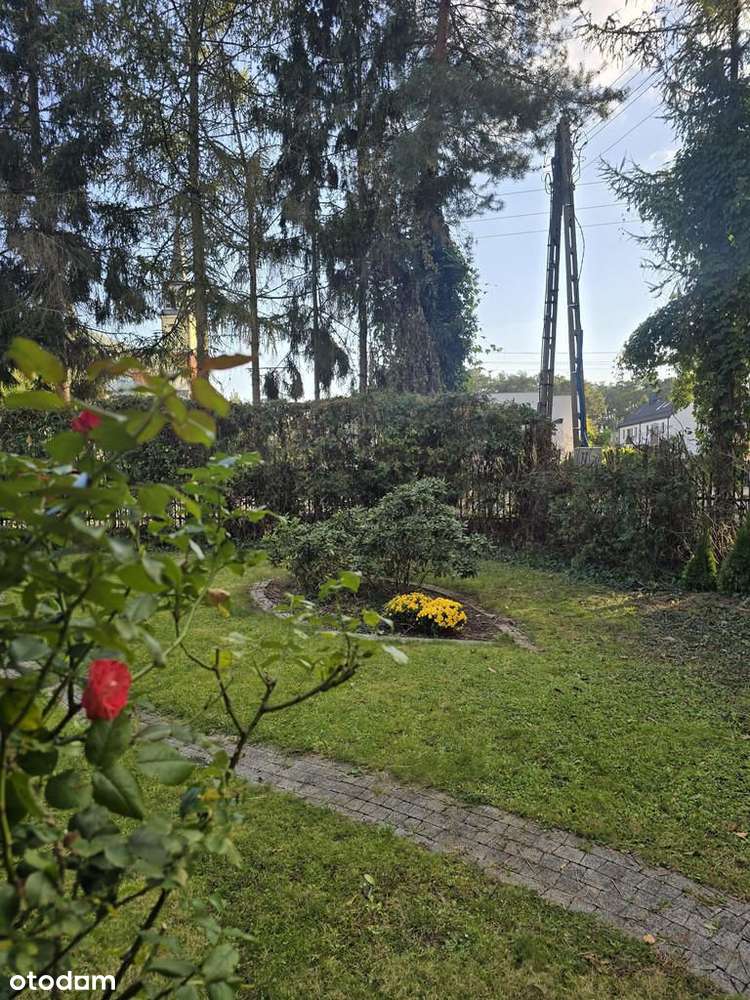 Dom wolnostojący w Mirkowie, cicho i zielono-17