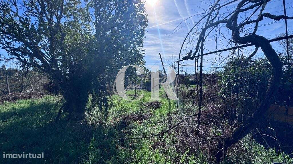 Casa de pedra com terreno e poço-23