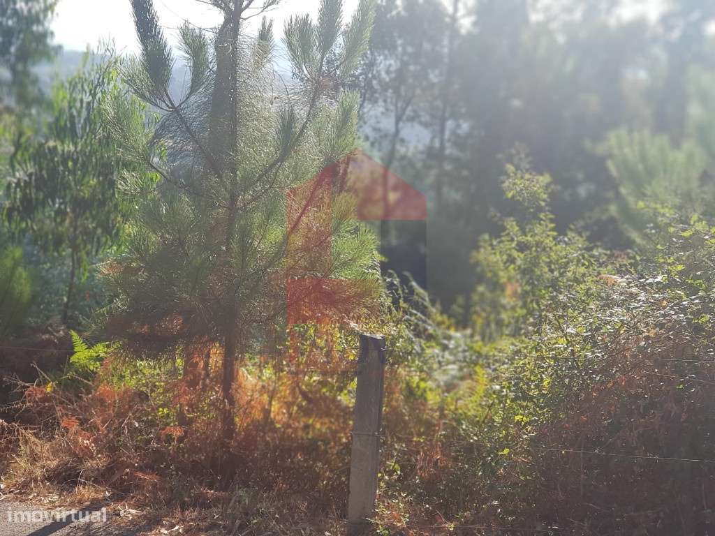 Terreno para construção em Gême, Vila Verde - Grande imagem: 5/7