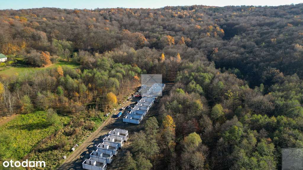 Przedsprzedaż - las św. Marcina | dla rodziny-5