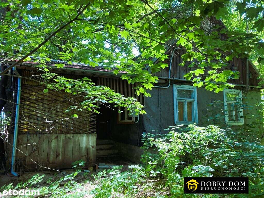 *Siedlisko na Podlasiu w otulinie lasu*-4