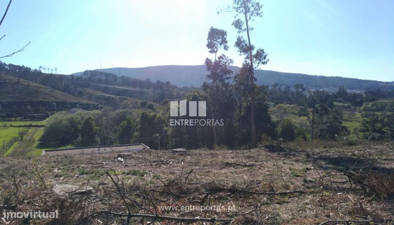 Terreno para venda, Argela, Caminha - Grande imagem: 4/6