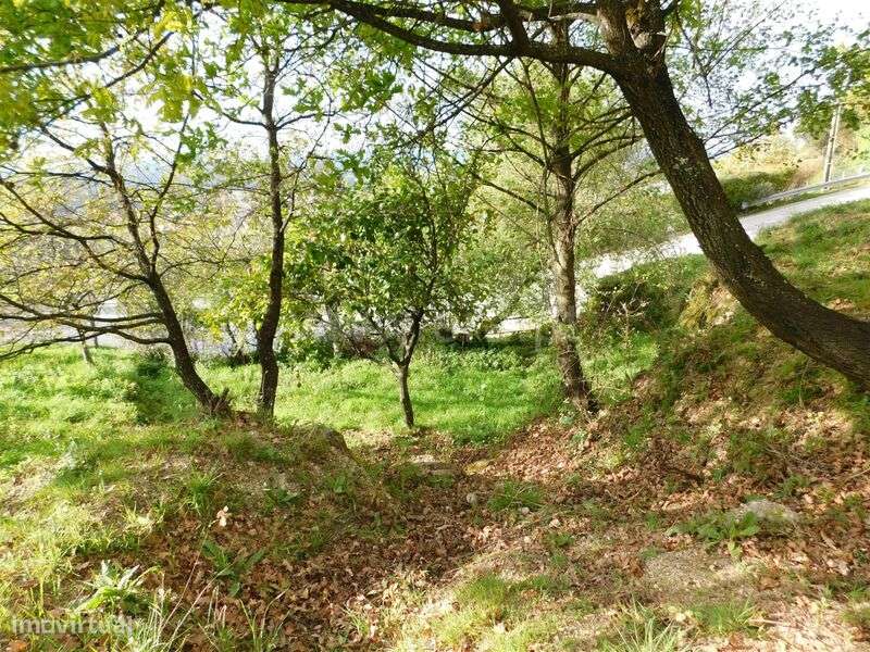 Terreno Urbano / Seia, São Romão - Grande imagem: 5/13