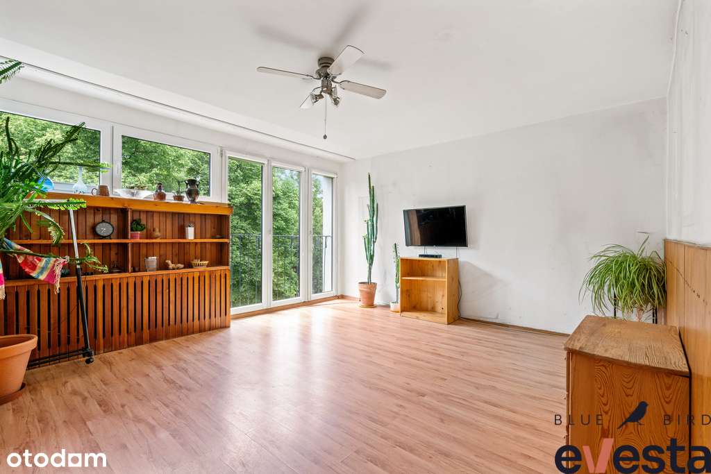 ✧3 pok. ✧Osobna kuchnia ✧Park ✧Parking ✧Biskupin - Pełny obrazek: 1/20