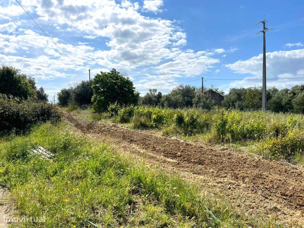 Quinta localizada a 1,5Km da Vidigueira-27