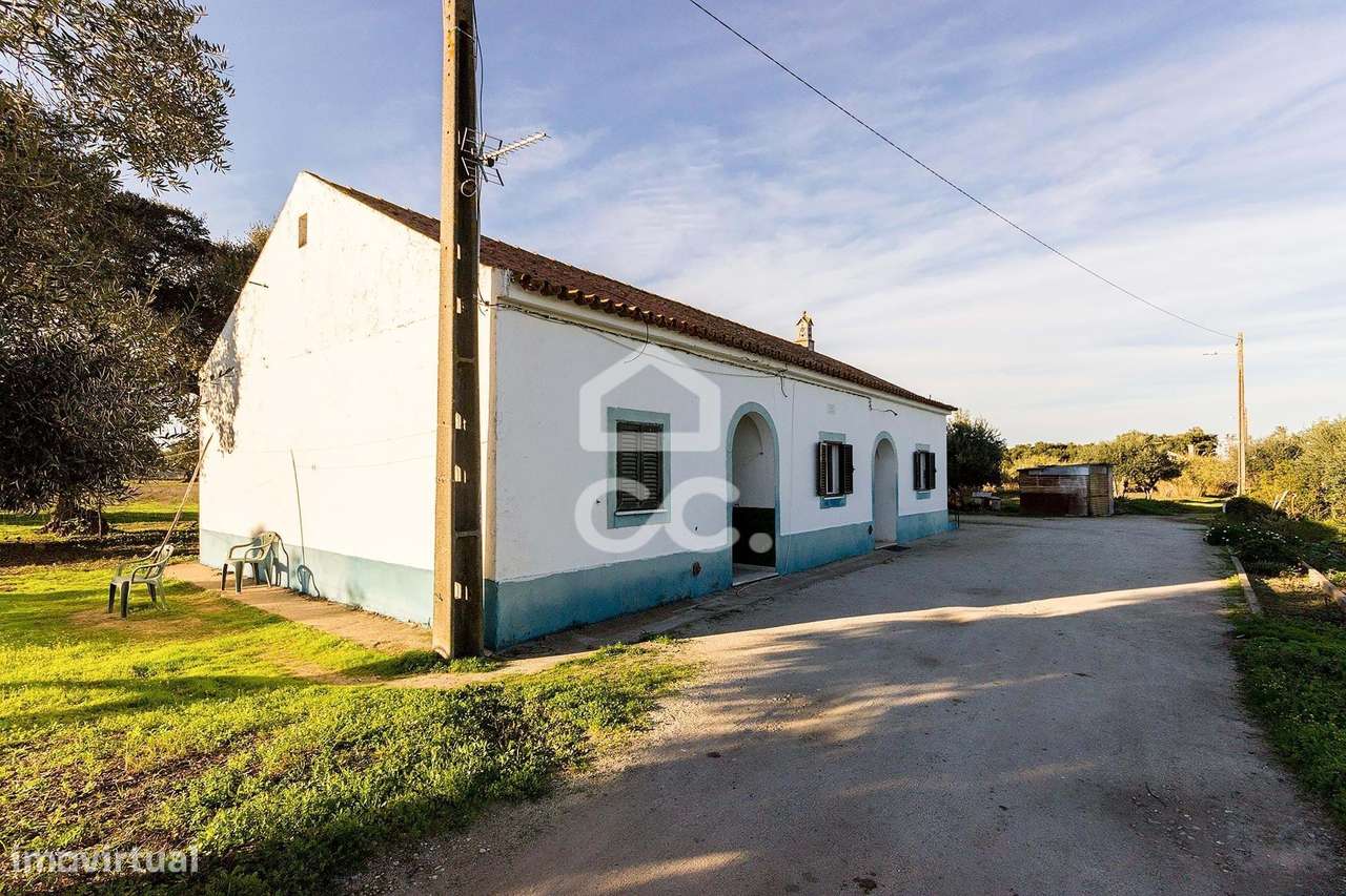 Quinta de 11.625 m² c/ Moradia T3 e anexos | Canaviais, Évora - Grande imagem: 4/43