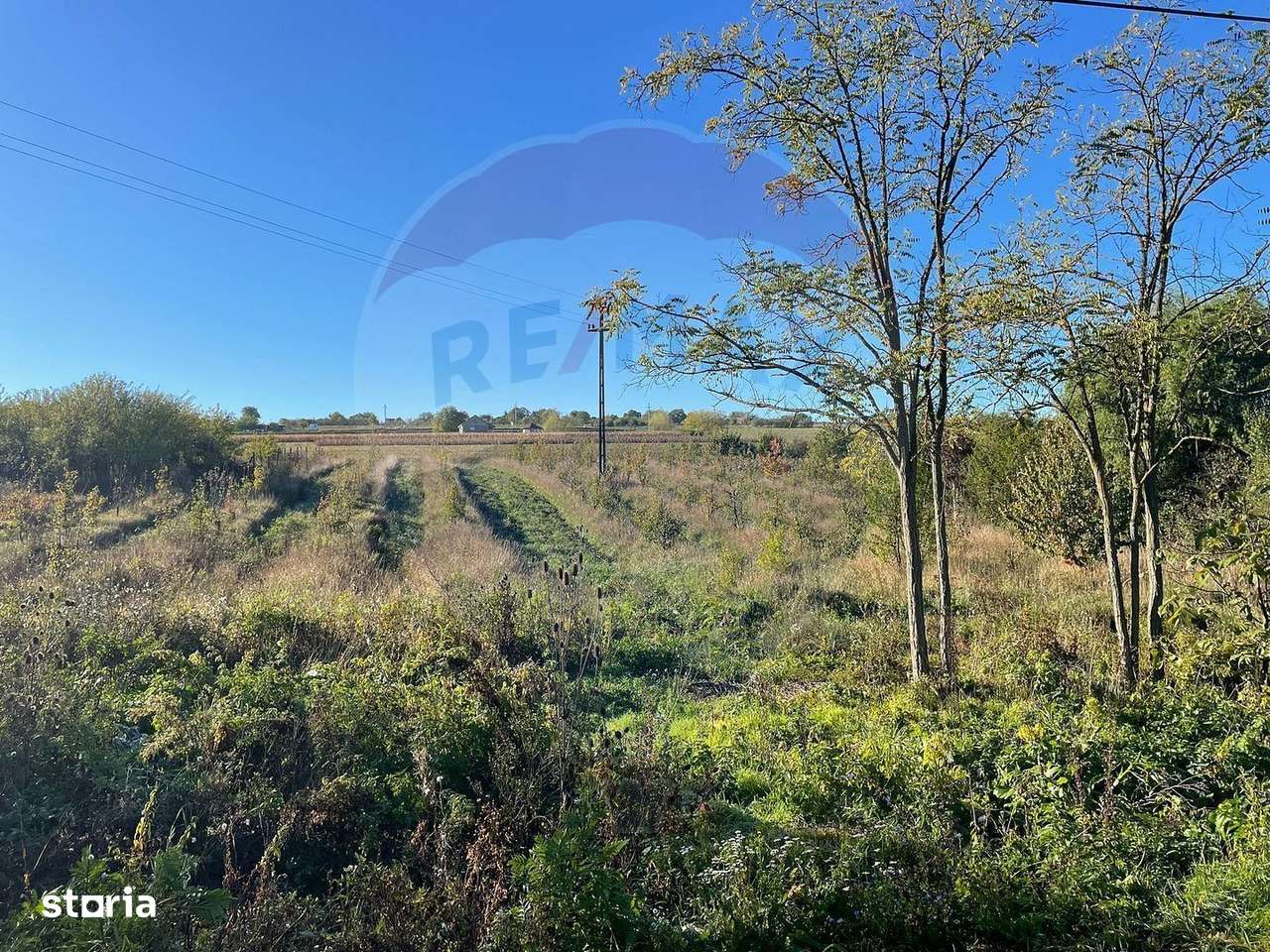 Teren 2.341 mp Uileacu de Munte front 25 ml la drum asfaltat - Imagine principală: 2/16