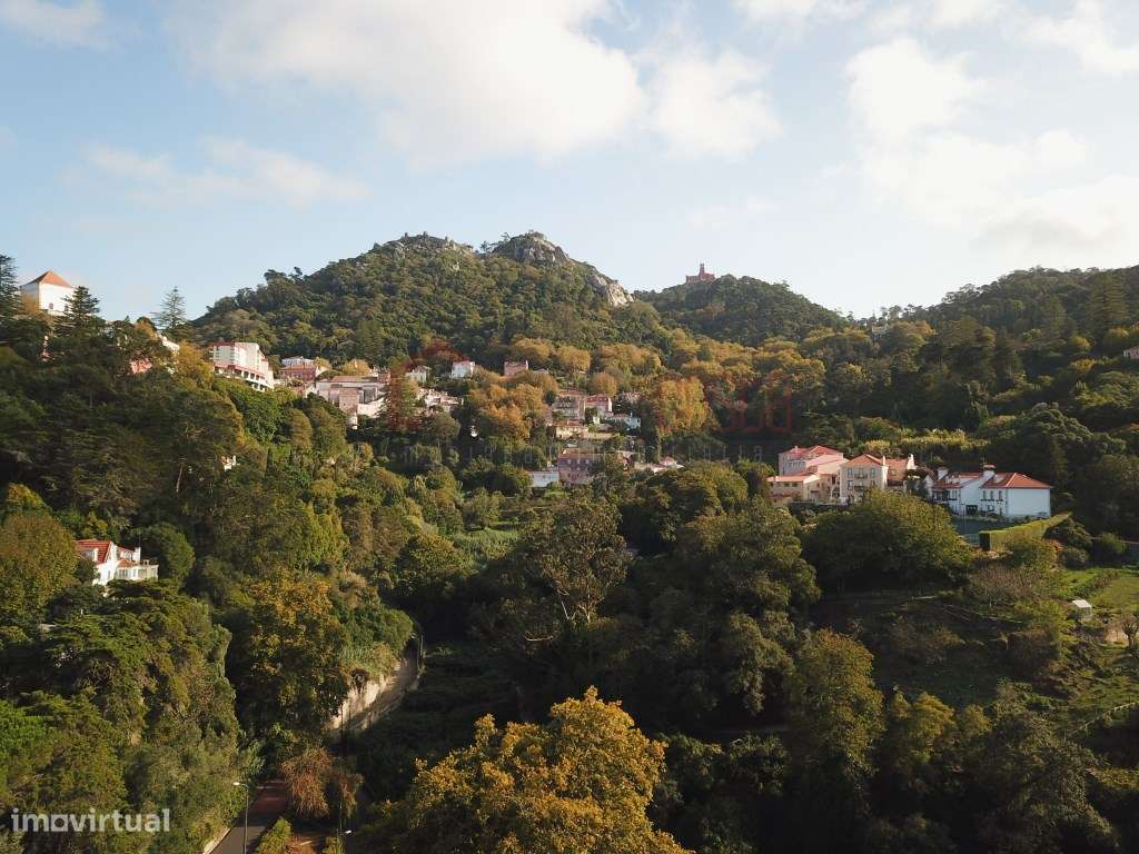 Projeto 'Evolução' - A Joia de Sintra - Grande imagem: 4/23