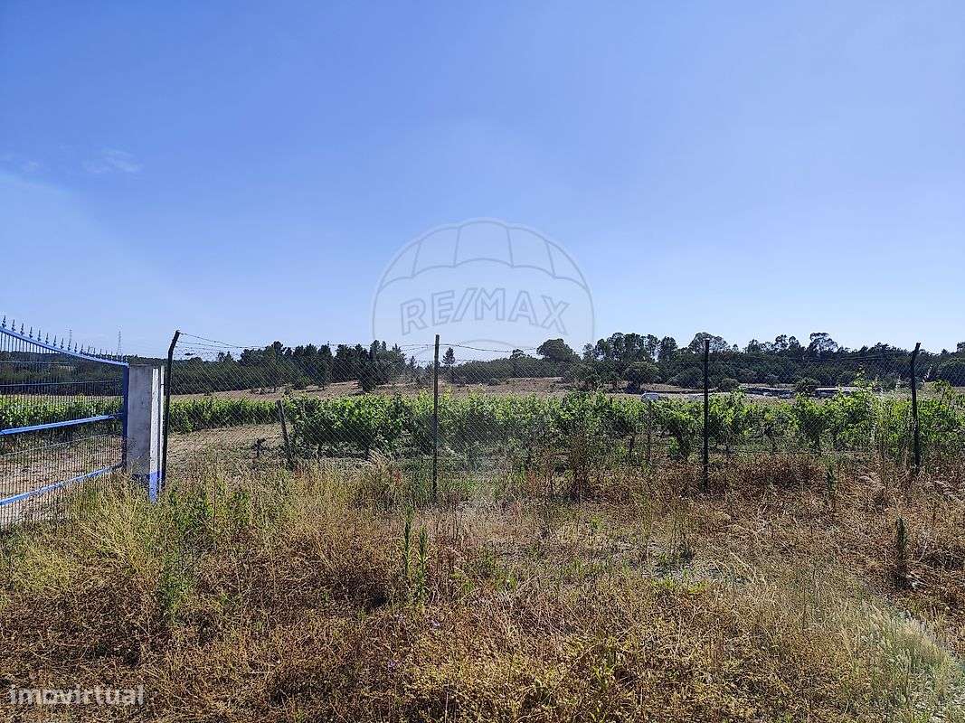 Terreno  para venda - Grande imagem: 5/25