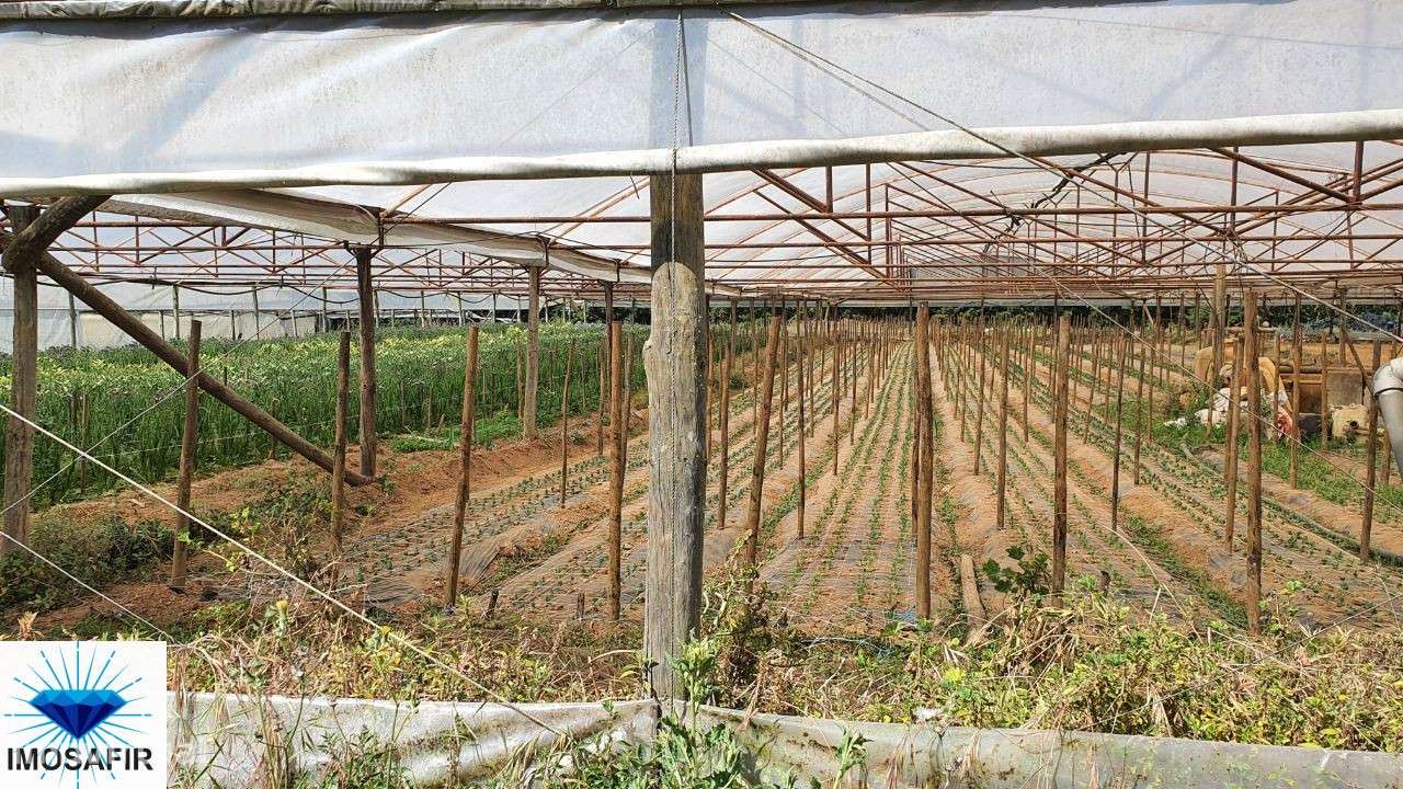 Terreno Agrícola com pequena parte urbana - Grande imagem: 5/15
