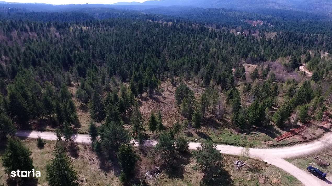 Teren intravilan 3,584mp Calatele Padure-3