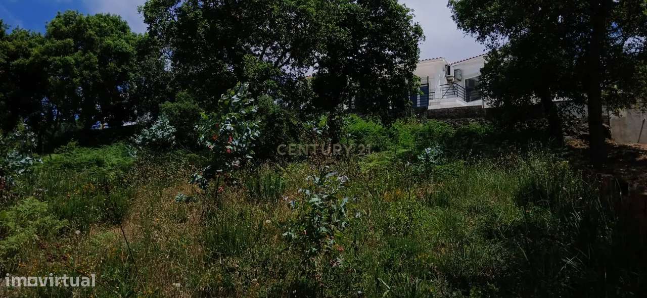 Terreno rústico - Mafra - Grande imagem: 5/10