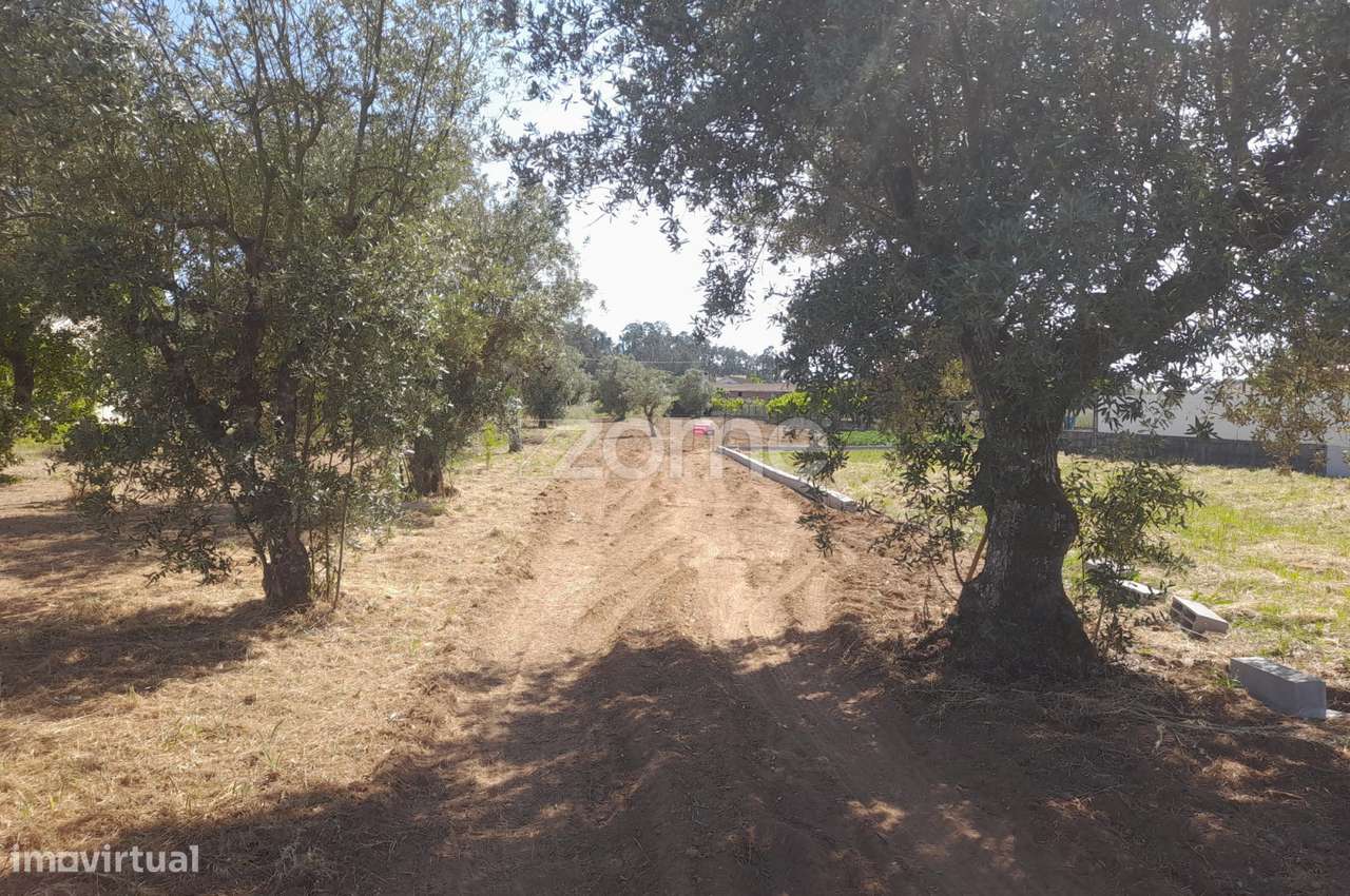 Terreno Rustico - Grande imagem: 2/27