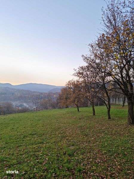 Casa din lemn + teren intravilan si extravilan - Imagine principală: 5/8