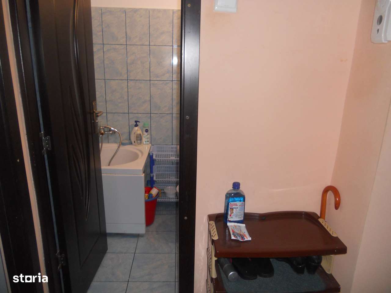 Podu Ros-aproape de Palas MALL-10