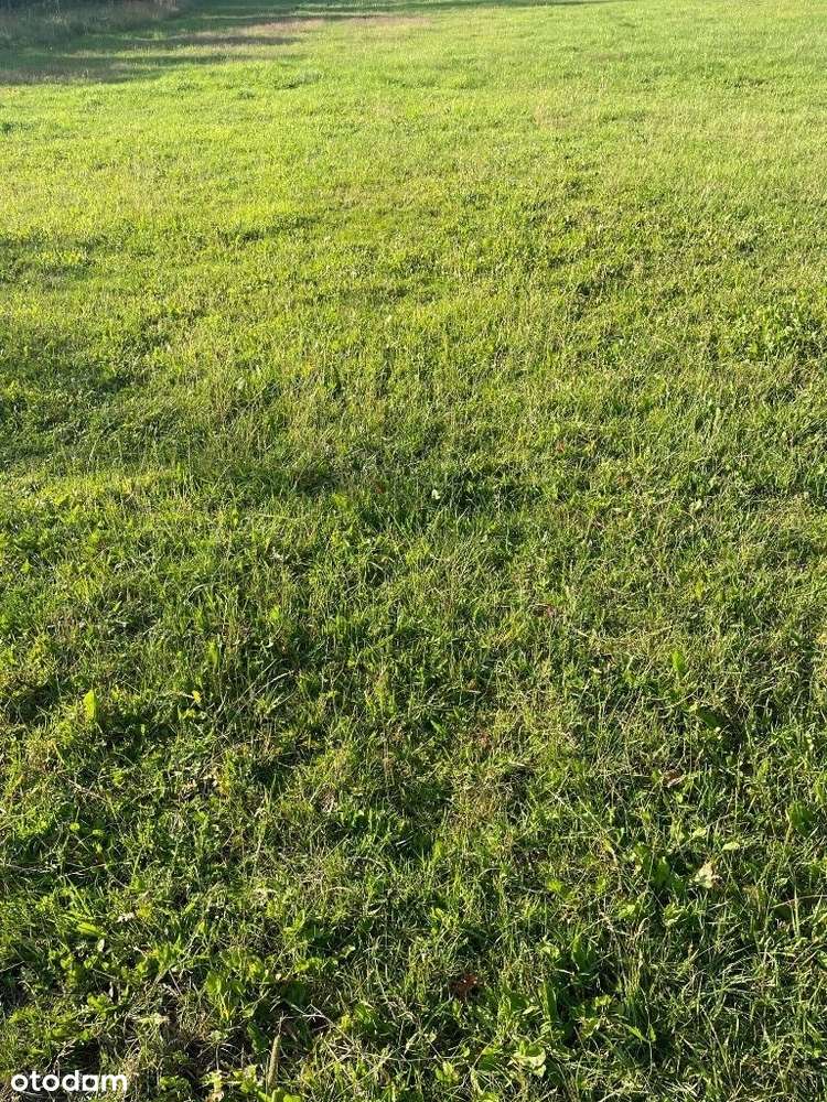 Ustronie /Sianożęty Nowe Działki od 300 do 5000m2 - Pełny obrazek: 1/1