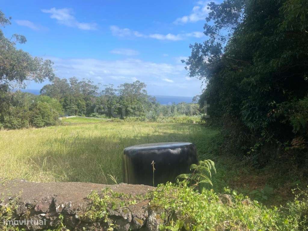 Terreno para Construção com Vista Mar - Porto Martins, Terceira - Grande imagem: 3/19