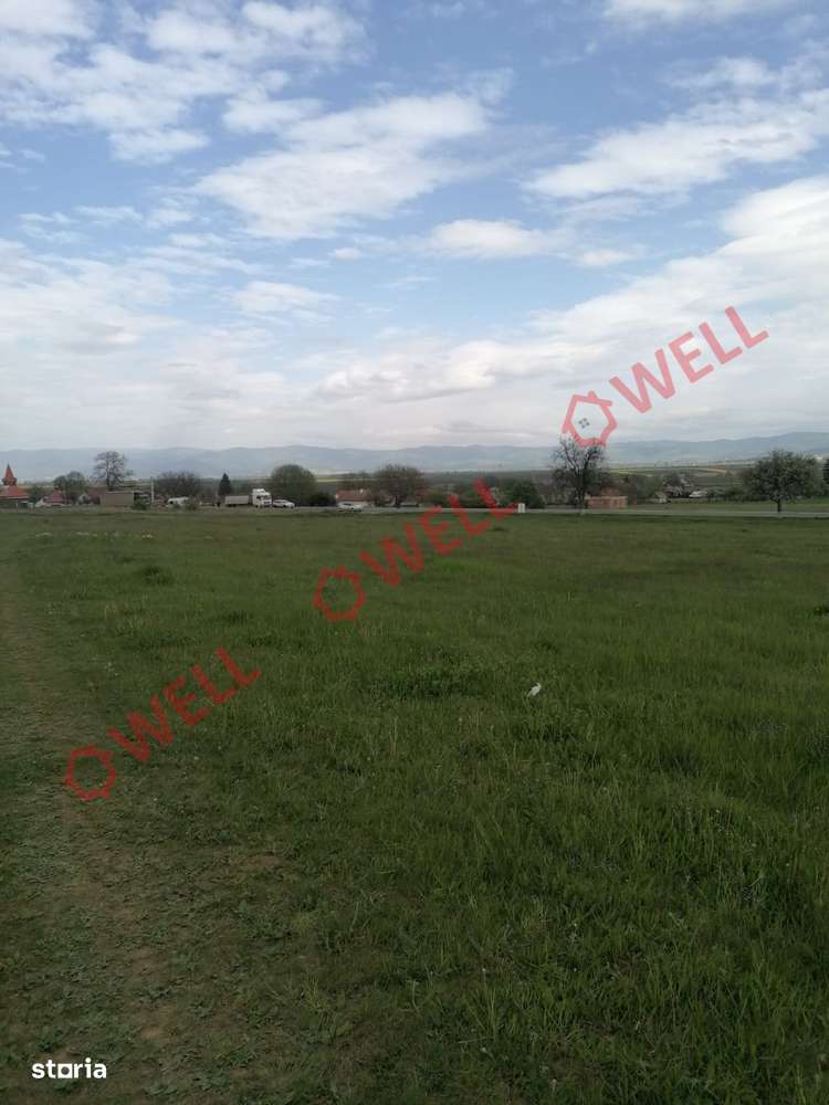 Teren intravilan de vânzare în Moacșa (Eresteghin)! - Imagine principală: 2/10