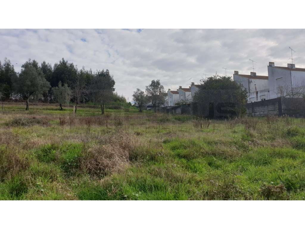 Terreno para venda Águeda - Grande imagem: 3/12