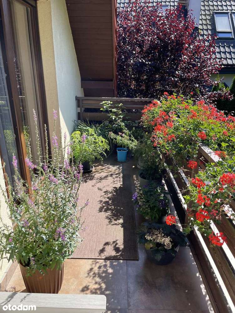 Fantastyczny Dom przy parku Jerzmanowskich - Pełny obrazek: 4/6