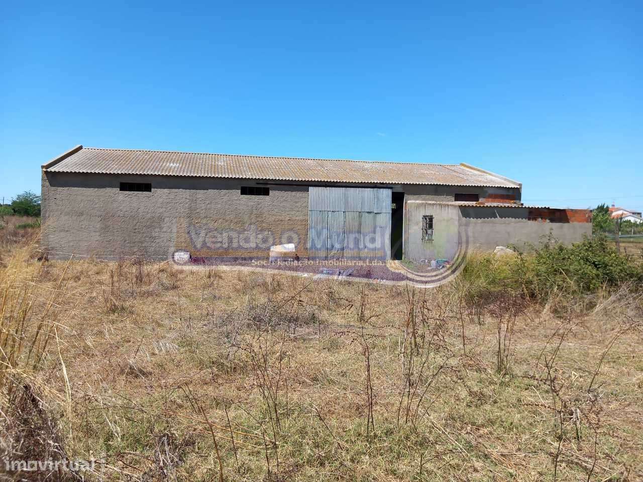 Terreno na Coutada Velha (B547) - Grande imagem: 4/11