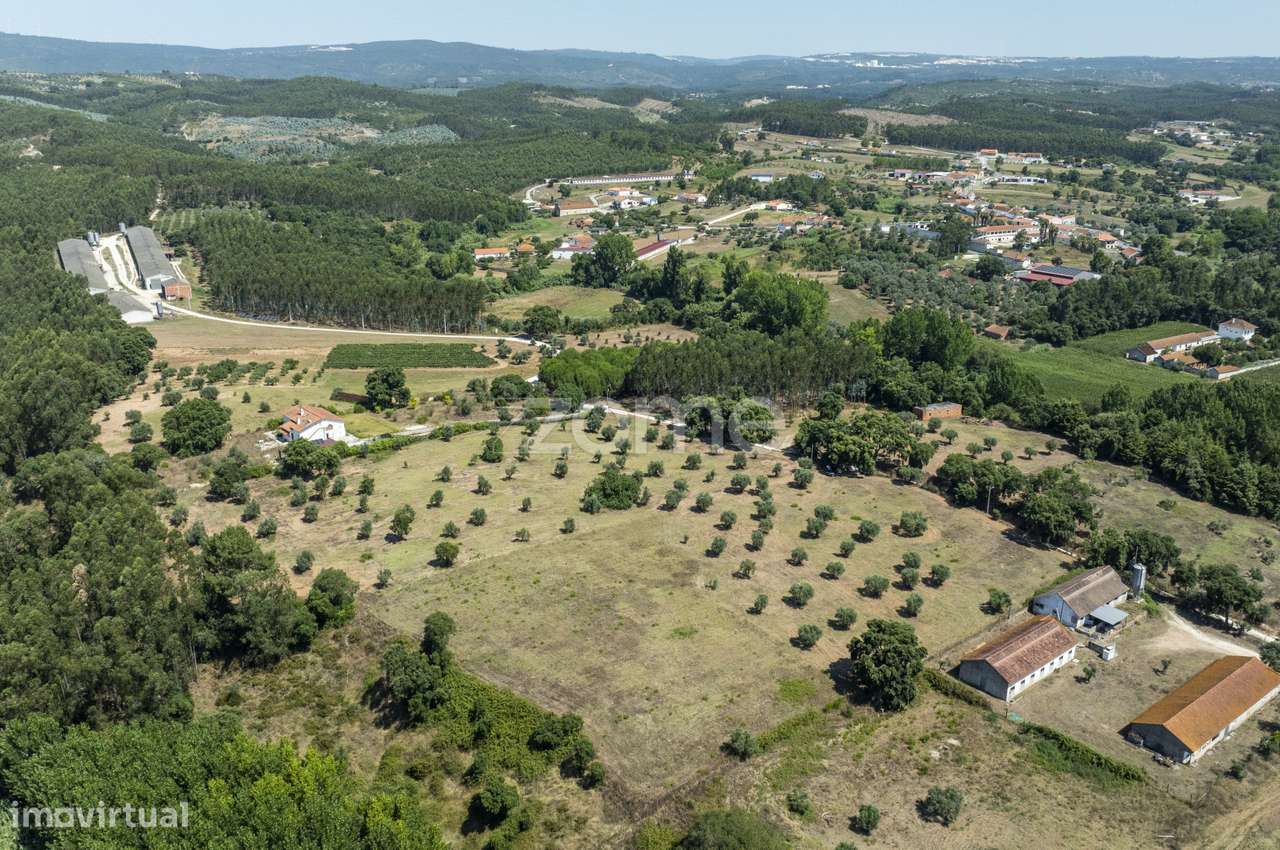 Terreno Rústico em Fráguas, Rio Maior com 12.880m2 - Grande imagem: 5/17