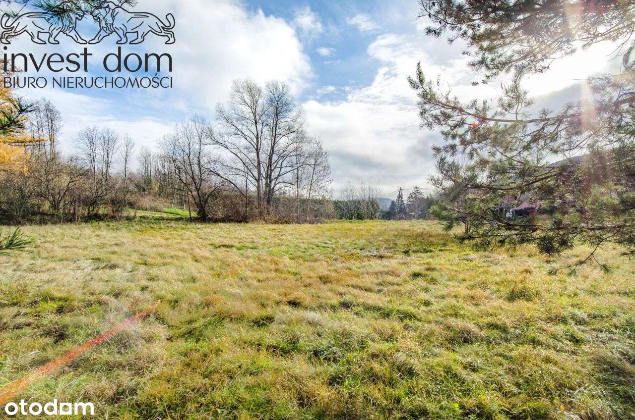 .. idealna, komfortowa i pod lasem! taka jest dzia-9