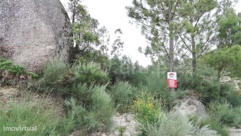 Terreno / Marco de Canaveses, Soalhães - Grande imagem: 5/9