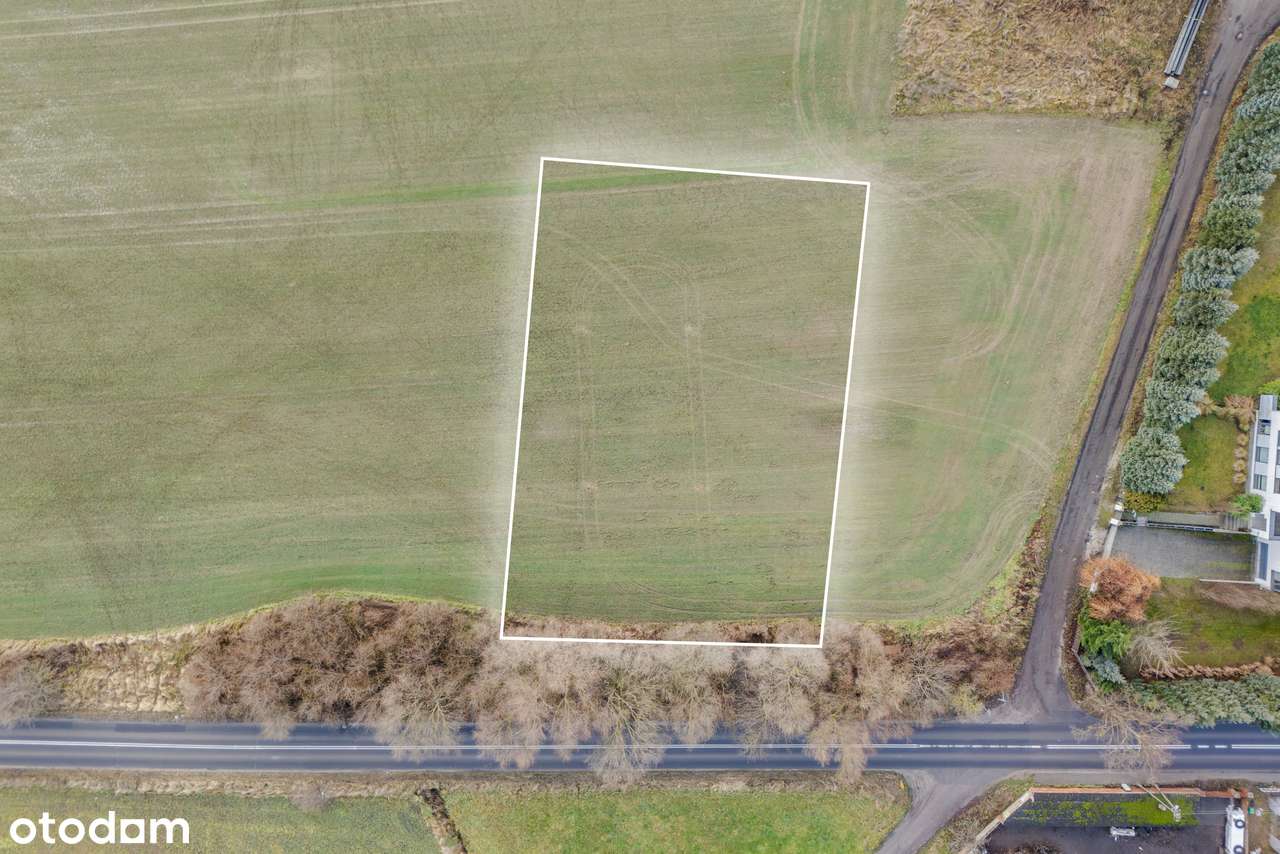 Duża ustawna działka budowlana na Morasku - 347 zł/m2 - Pełny obrazek: 4/11