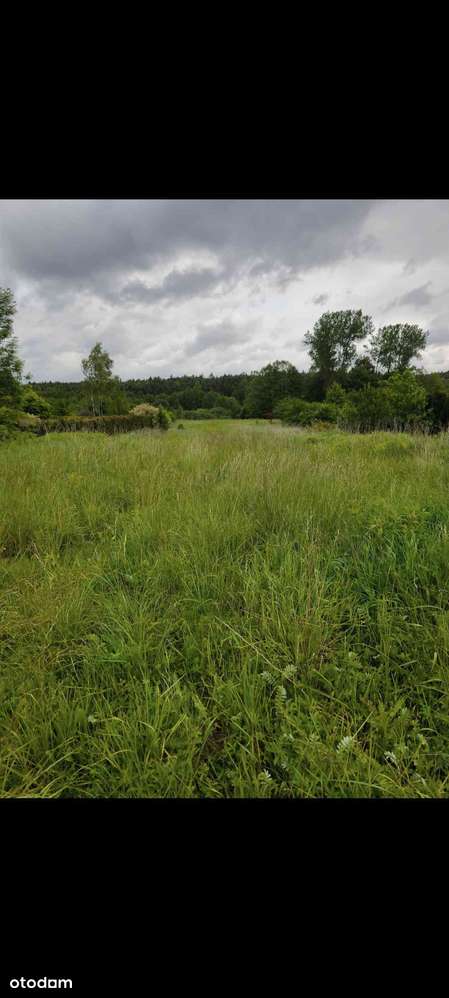 Działka budowlana 3727m2 Kolonia ul.Poręba blisko Olkusz, Sławków - Pełny obrazek: 3/9