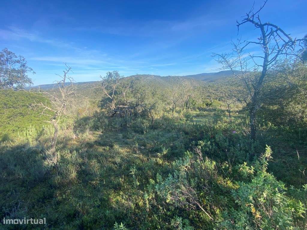 Lote de terreno rústico situado em zona muito tranquila, Boliqueime... - Grande imagem: 2/12